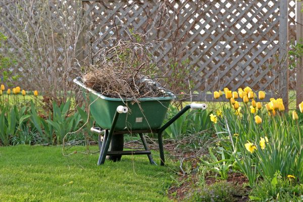 Flower Bed Cleanup Service in Louisville