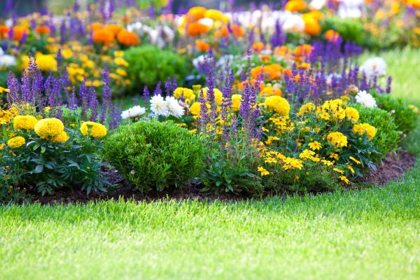 Flower Bed Maintenance in Louisville