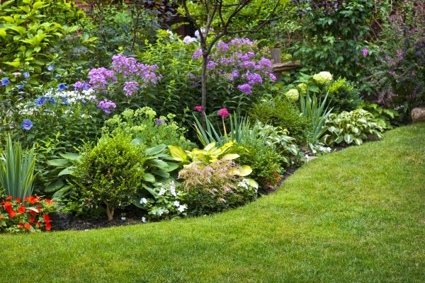 Flower Bed Service in Louisville
