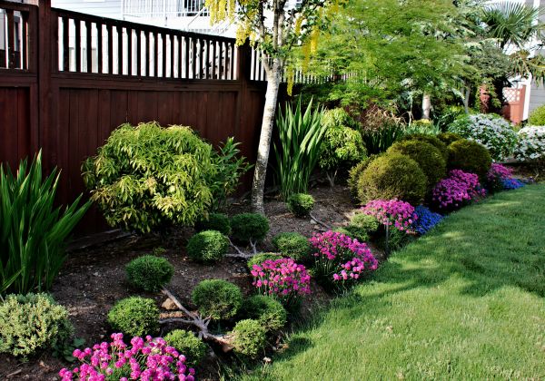 Garden Care Service in Louisville