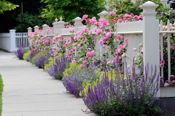 Garden Handyman Service in Louisville