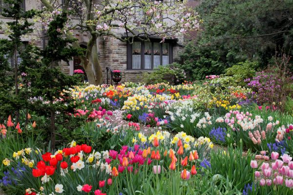 Garden Maintenance Service in Louisville