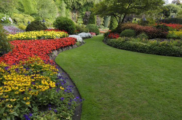 Landscaping Maintenance in Louisville
