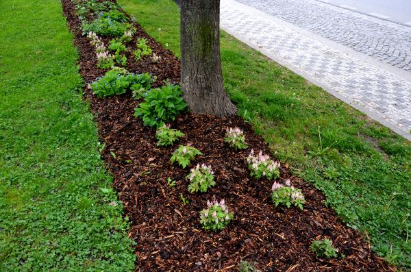 Mulch Replacement Service in Louisville
