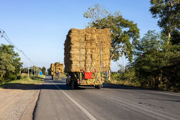 Pine Straw Delivery in Louisville