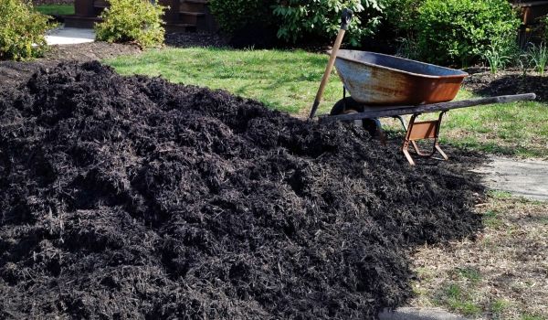 Black Mulch Delivery in Louisville