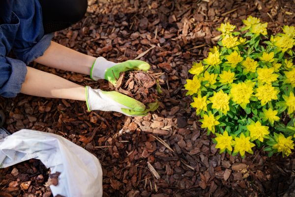 Garden Mulching in Louisville