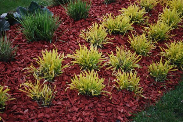 Mulch Landscaping in Louisville