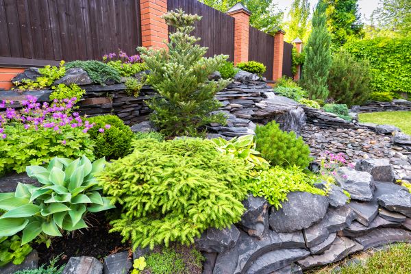 Landscape Remodeling in Louisville