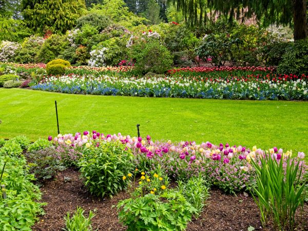Residential Landscape Design in Louisville