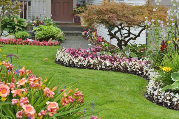 Perennial Landscaping in Louisville