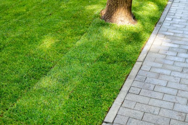 Border Stone Installation in Louisville