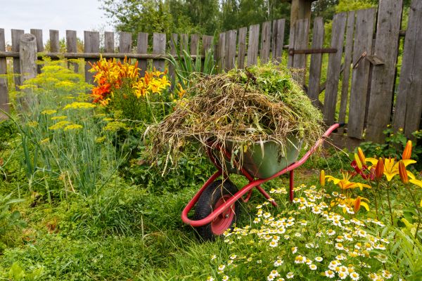 Garden Cleanup Service in Louisville