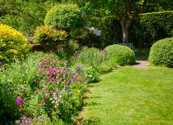 Yard Landscaping Service in Louisville
