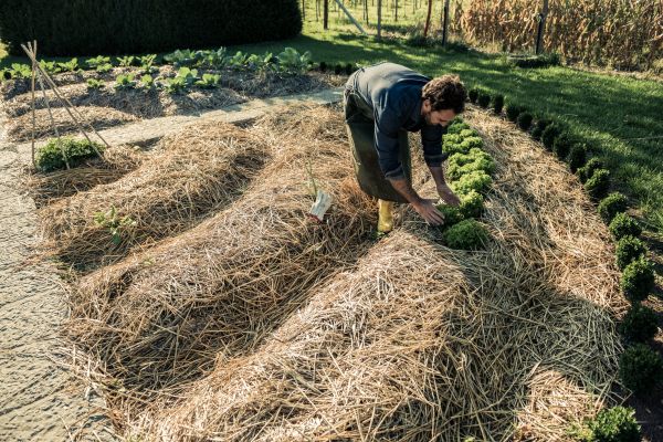Straw Mulching Service in Louisville