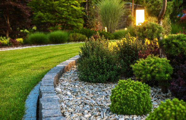 Landscaping Service in Louisville