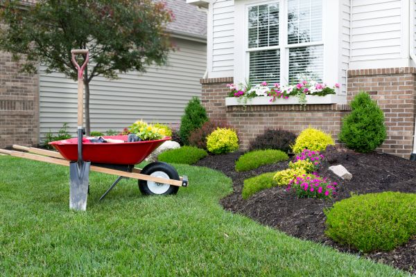 Tree And Shrub Planting in Louisville