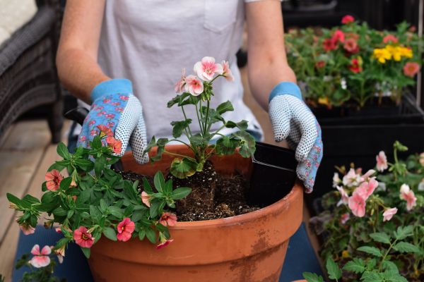 Plant Care Service in Louisville
