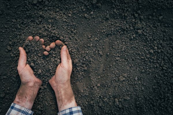 Soil Installation in Louisville