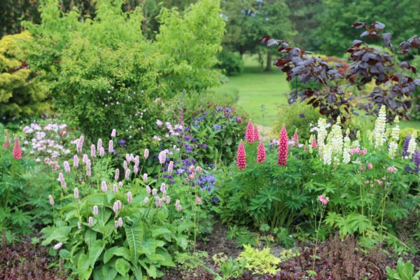 Flower Bed Planting in Louisville