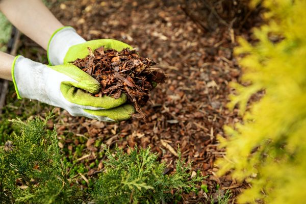 Garden Mulch Delivery in Louisville