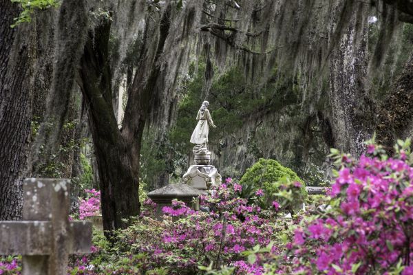 Cemetery Landscaping in Louisville