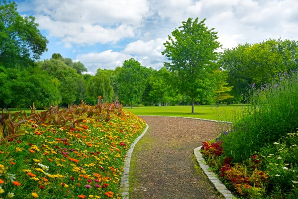 Park Landscaping in Louisville