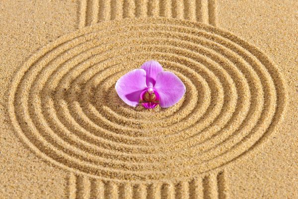 Sand Garden Landscaping in Louisville