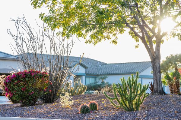 Dryscape Landscaping in Louisville