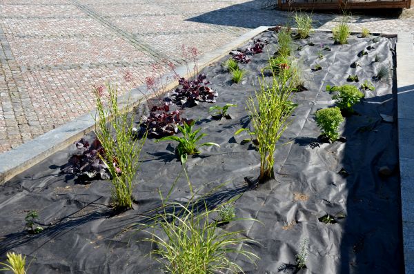 Landscape Fabric Installation in Louisville