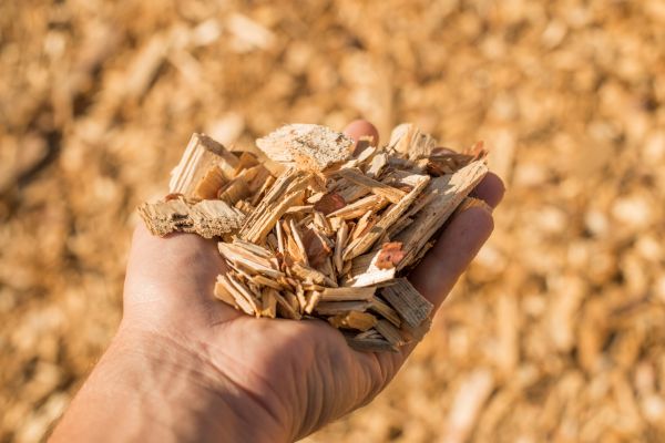 Wood Chips Spreading in Louisville