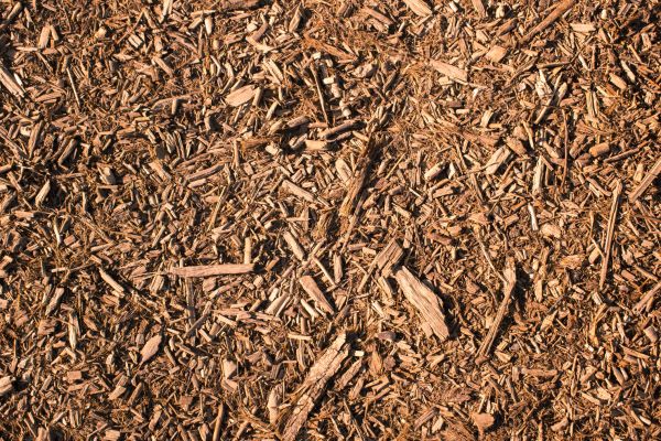 Wood Chips Removal in Louisville