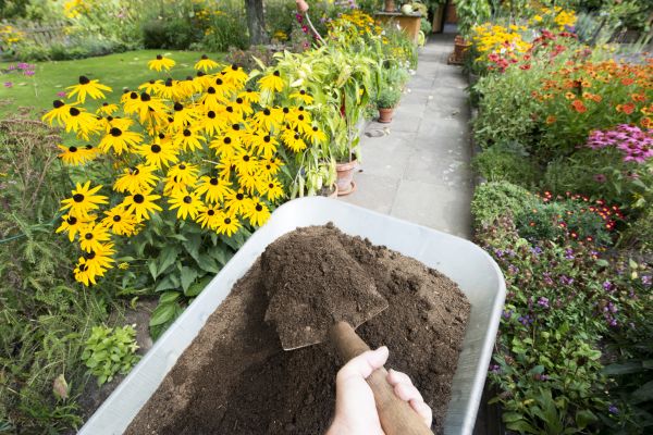 Topsoil Replacement in Louisville