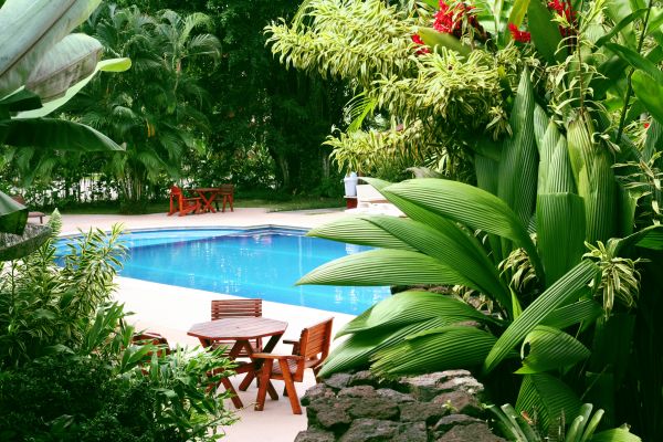 Pool Area Landscaping in Louisville