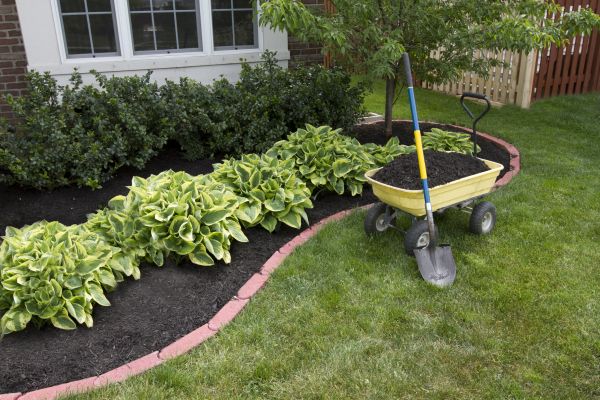 Landscape Mulching in Louisville
