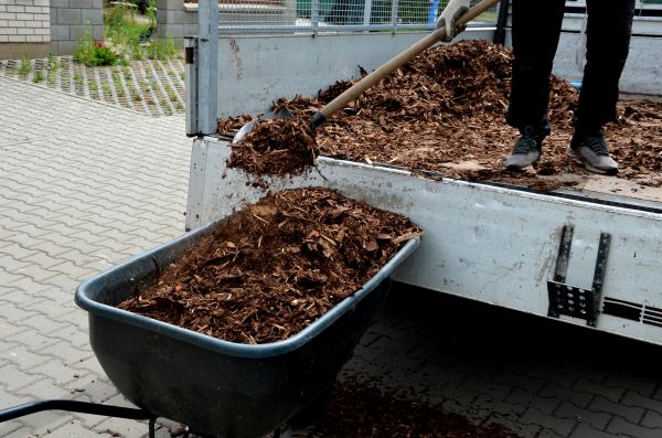Cedar Mulch Delivery in Louisville