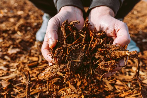 Bark Chips Delivery in Louisville