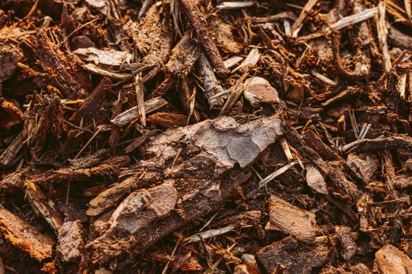 Bark Mulch Delivery in Louisville