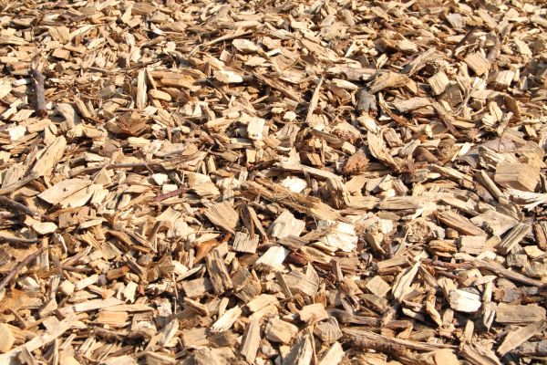Wood Mulch Delivery in Louisville