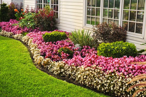 House Landscaping in Louisville