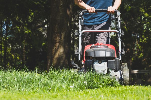 Garden Trimming Service in Louisville
