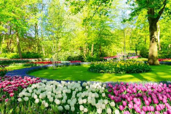 Flower Landscaping in Louisville