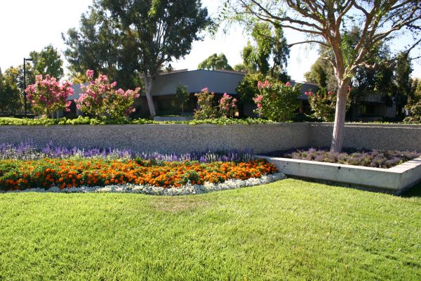Commercial Landscape Service in Louisville