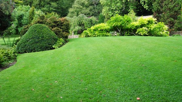 Commercial Landscape Design in Louisville