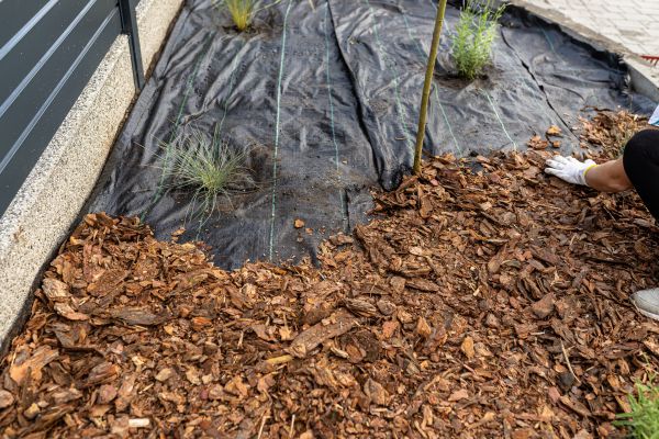 Pine Bark Spreading in Louisville