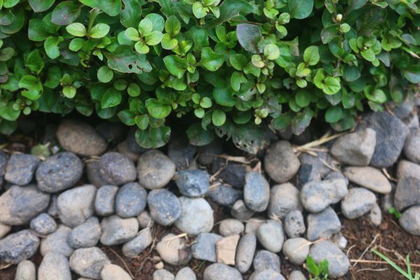 River Stone Installation in Louisville