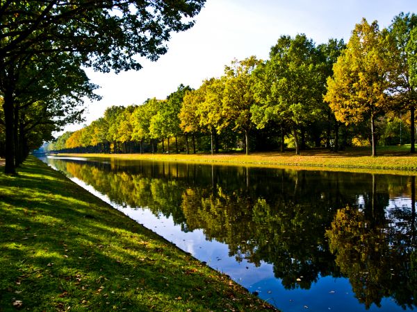Bank Landscaping in Louisville
