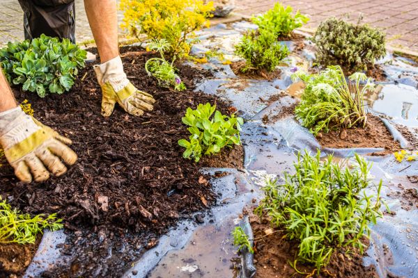 Mulch Fabric Installation in Louisville