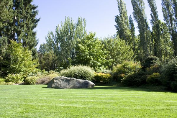 Yard Enlargement in Louisville