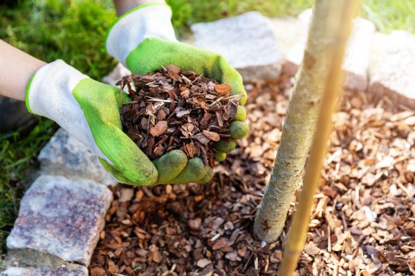 Tree Bark Delivery in Louisville